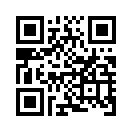QR CODE 373