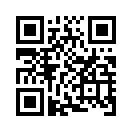 QR CODE 394
