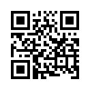 QR CODE 419