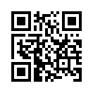 QR CODE 42
