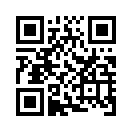 QR CODE 494