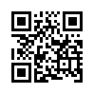QR CODE 501