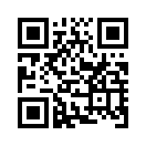 QR CODE 528
