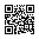 QR CODE 529