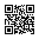 QR CODE 53