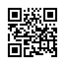 QR CODE 538