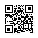 QR CODE 553