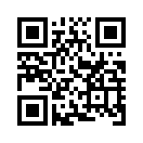QR CODE 584