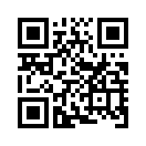 QR CODE 734