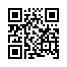 QR CODE 813