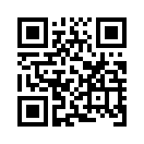 QR CODE 856