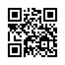 QR CODE 110