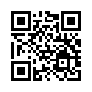 QR CODE 221