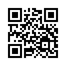 QR CODE 316