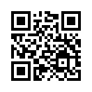 QR CODE 317