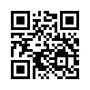 QR CODE 329