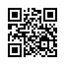 QR CODE 336