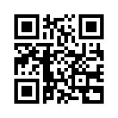 QR CODE 31