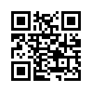 QR CODE 131
