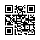 QR CODE 132
