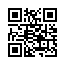 QR CODE 133