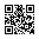 QR CODE 142