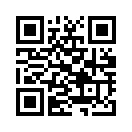 QR CODE 29