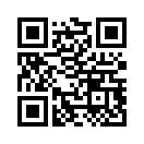 QR CODE 133