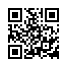 QR CODE 228
