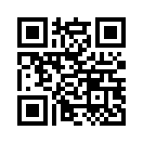 QR CODE 31