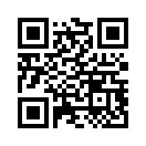 QR CODE 316