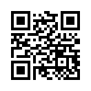 QR CODE 317