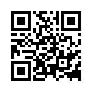 QR CODE 394