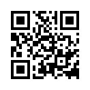 QR CODE 461