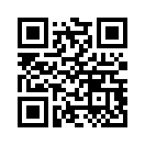 QR CODE 494