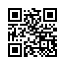 QR CODE 528