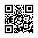 QR CODE 529