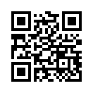 QR CODE 531