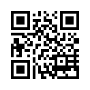 QR CODE 21