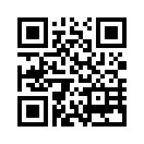QR CODE 41