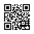 QR CODE 42