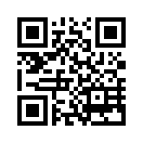 QR CODE 53