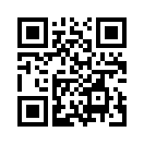 QR CODE 31