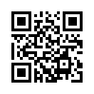 QR CODE 31
