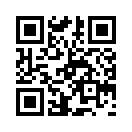 QR CODE 461