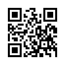 QR CODE 538