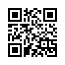QR CODE 393