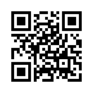 QR CODE 336